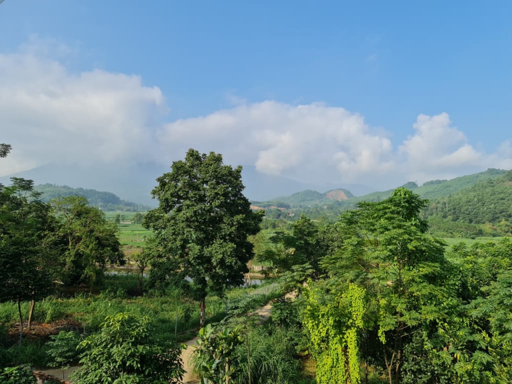 view tầng 2