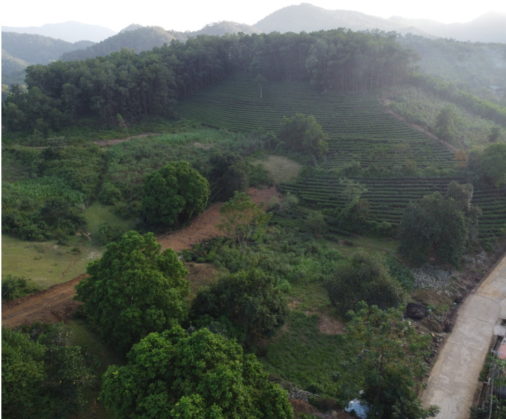 ban dat xa yên bai