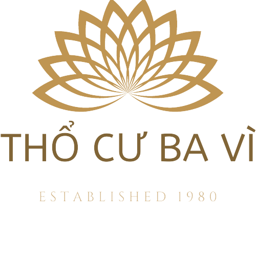 thocubavi.com