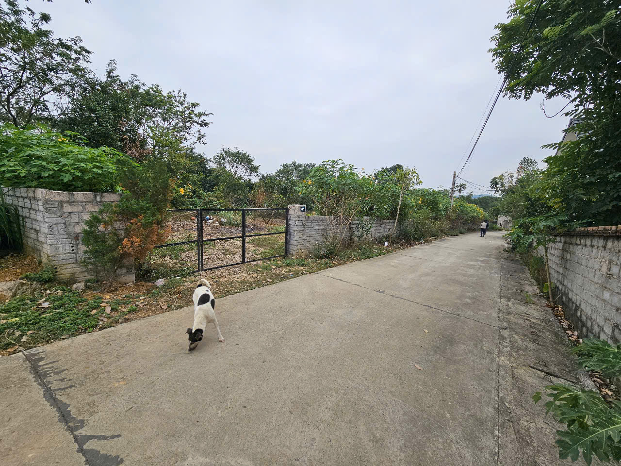 bán lô đất 600m2 gần hồ, sần sân bóng bám mặt đường rộng 19m