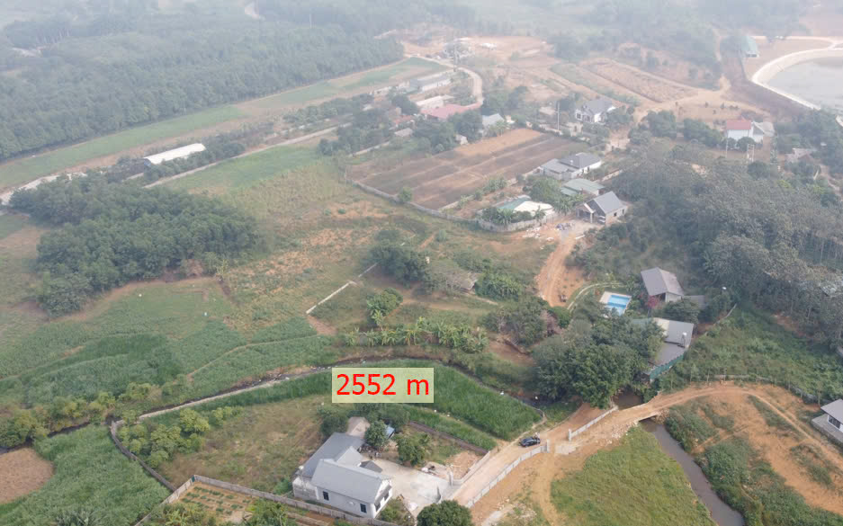 lô đất Cây lâu năm bám suối lô đất Cây lâu năm bám suối