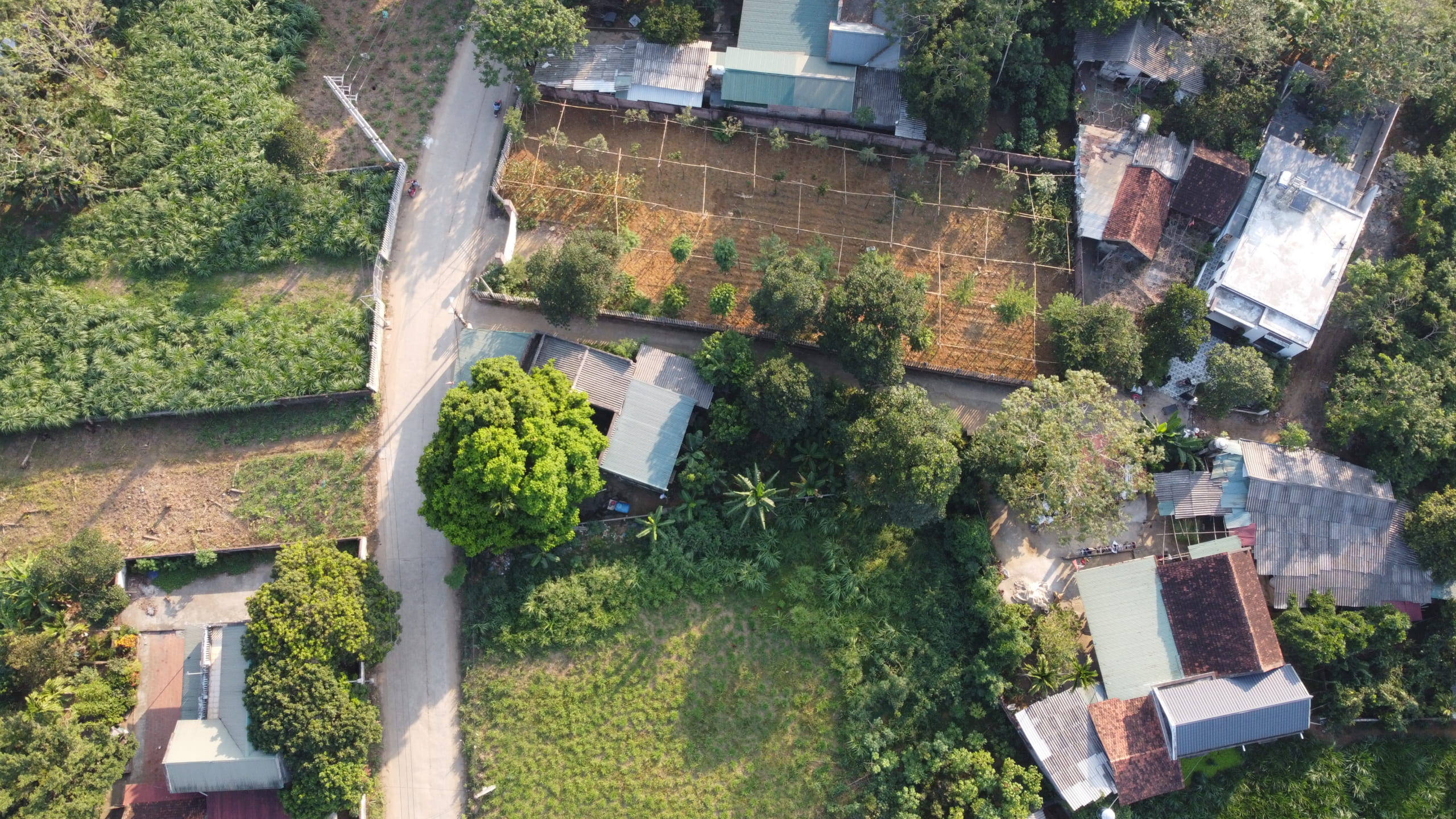 lô đất mặt đường lớn cách DT87 500m giá 2,5 tỷ