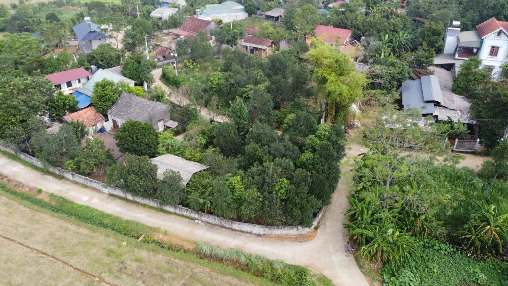 lô đất 504m2 bám 3 mặt đường bê tông, view cánh đồng view núi – hàng hiếm