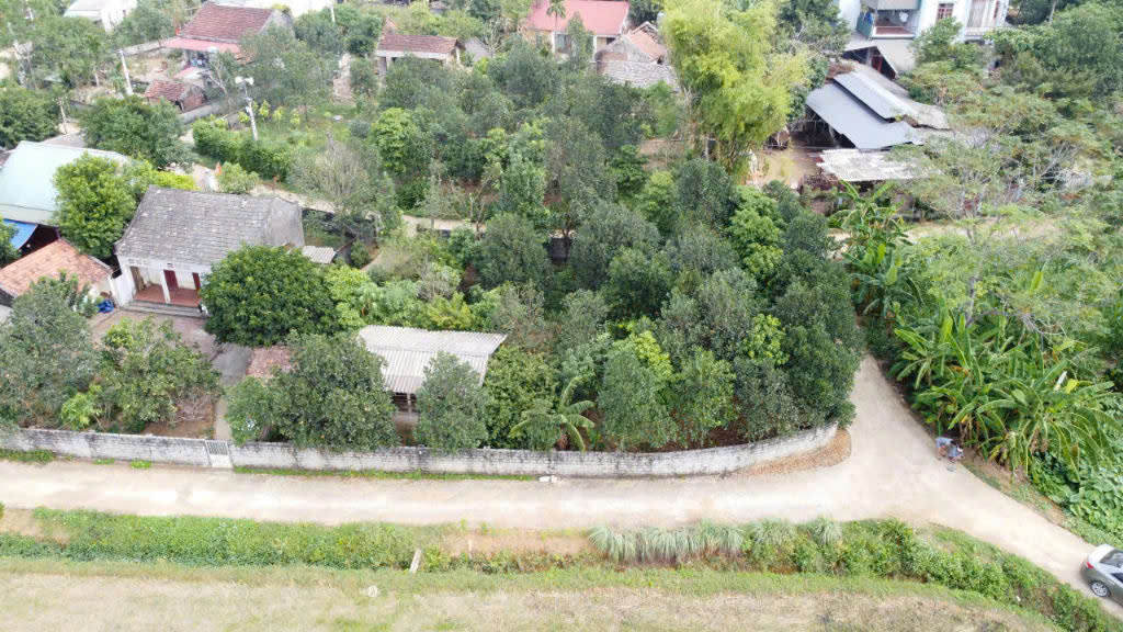 lô đất 504m2 bám 3 mặt đường bê tông, view cánh đồng view núi – hàng hiếm