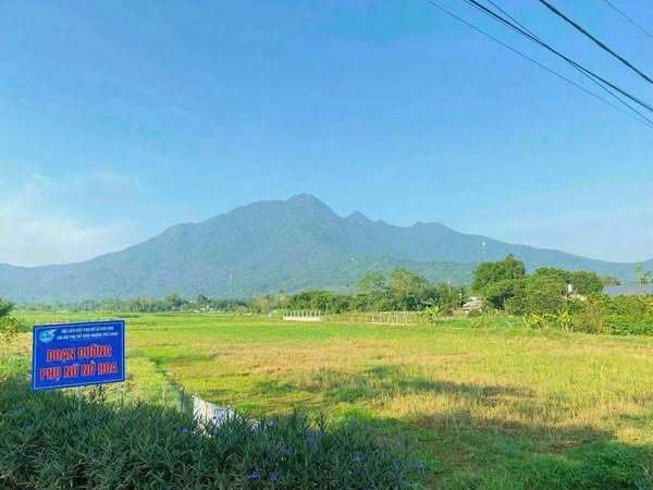 bán lô 481m2 view cánh đồng