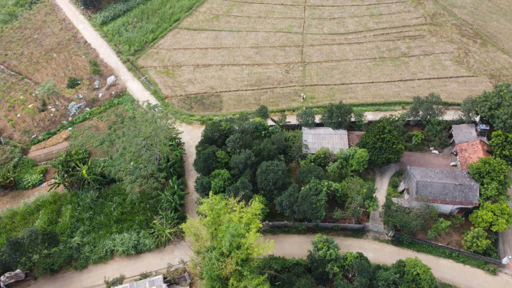 lô đất 504m2 bám 3 mặt đường bê tông, view cánh đồng view núi – hàng hiếm