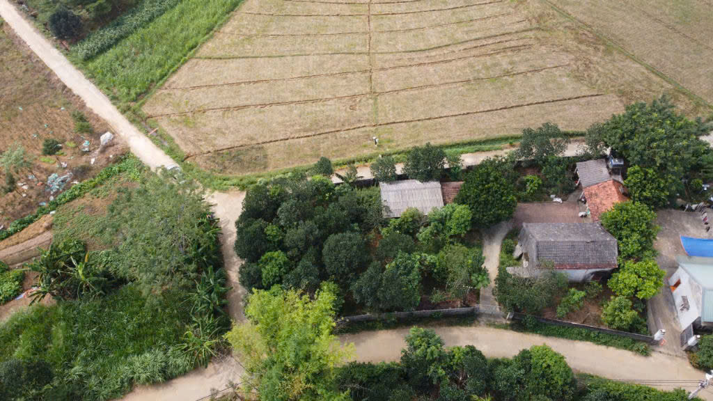 lô đất 504m2 bám 3 mặt đường bê tông, view cánh đồng view núi – hàng hiếm