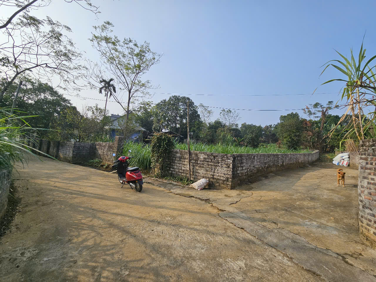 LÔ GÓC 470m2 sát TL87 giá 3tỷ