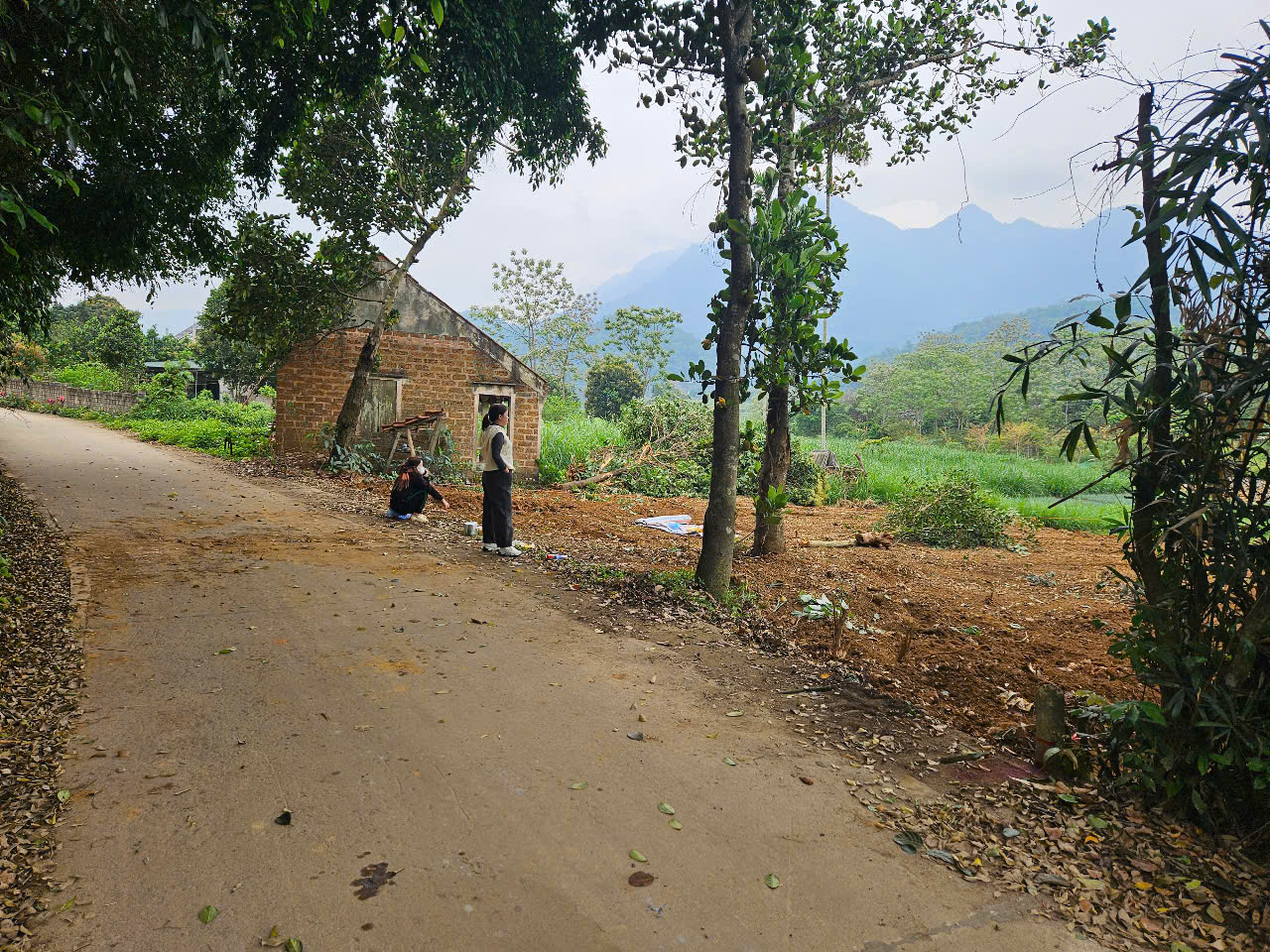 bán lô 647m2 thôn Nghe xã Vân Hòa  gần du lịch Long Việt