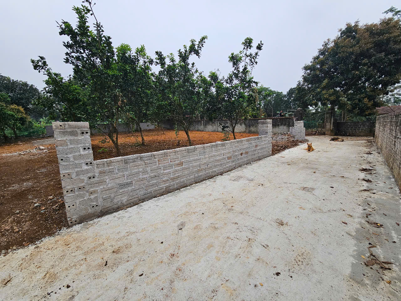 lô đất 418m2 cách DT87 600m giá 3 tỷ