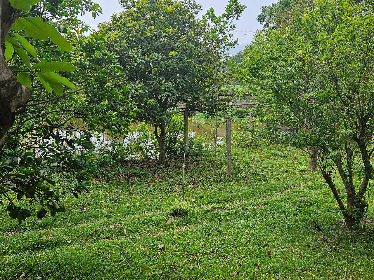 lô đất 4380m2, có 900m2 thổ cư giá 3,5 tr/m2