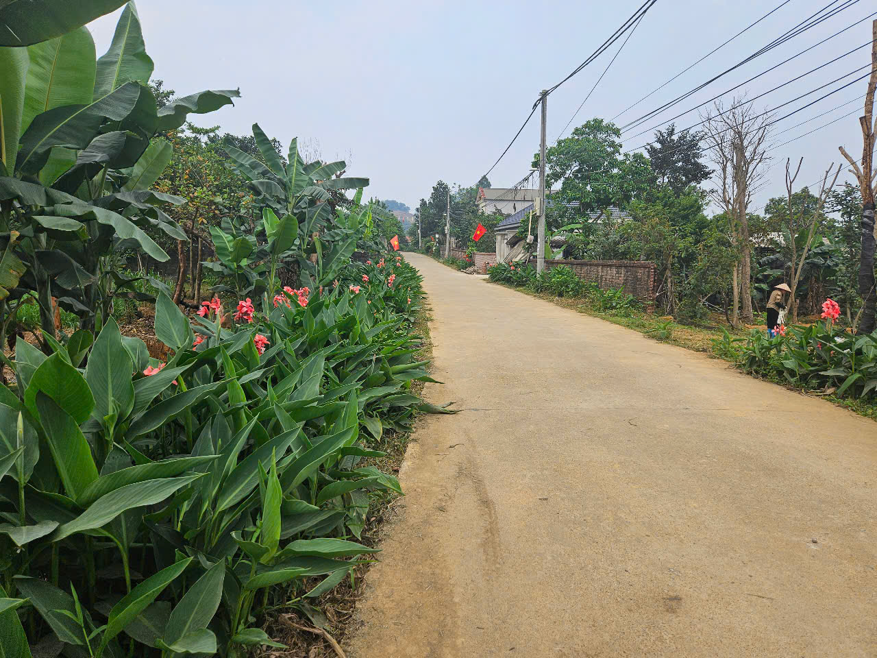 lô đất 422m2 tại thôn Xoan, Vân Hòa