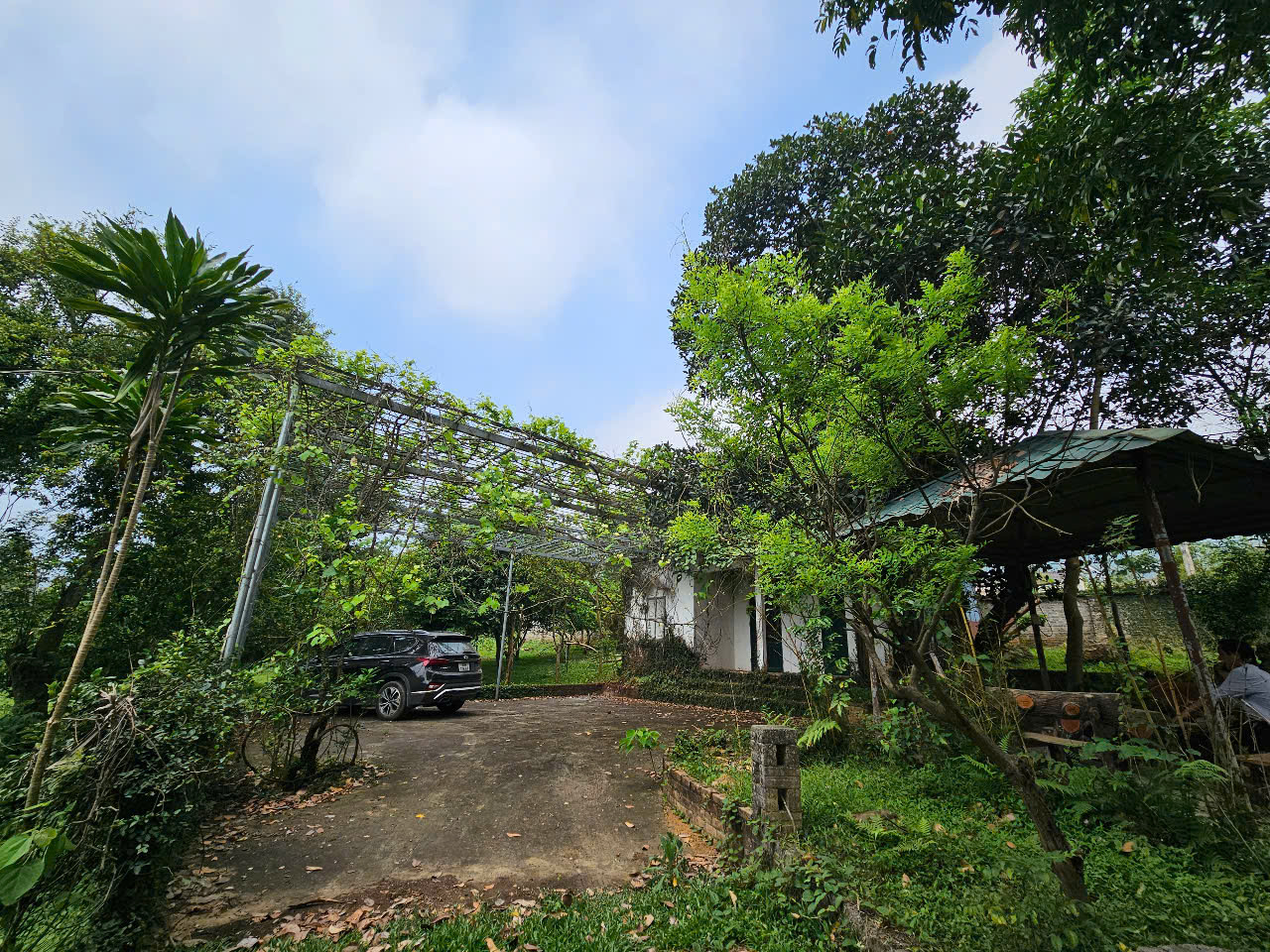 lô đất 4380m2, có 900m2 thổ cư giá 3,5 tr/m2