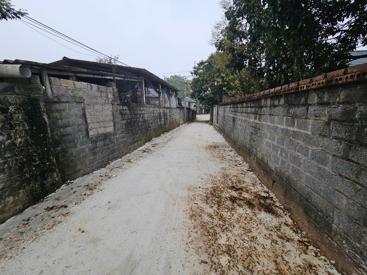 lô đất 418m2 cách DT87 600m giá 3 tỷ