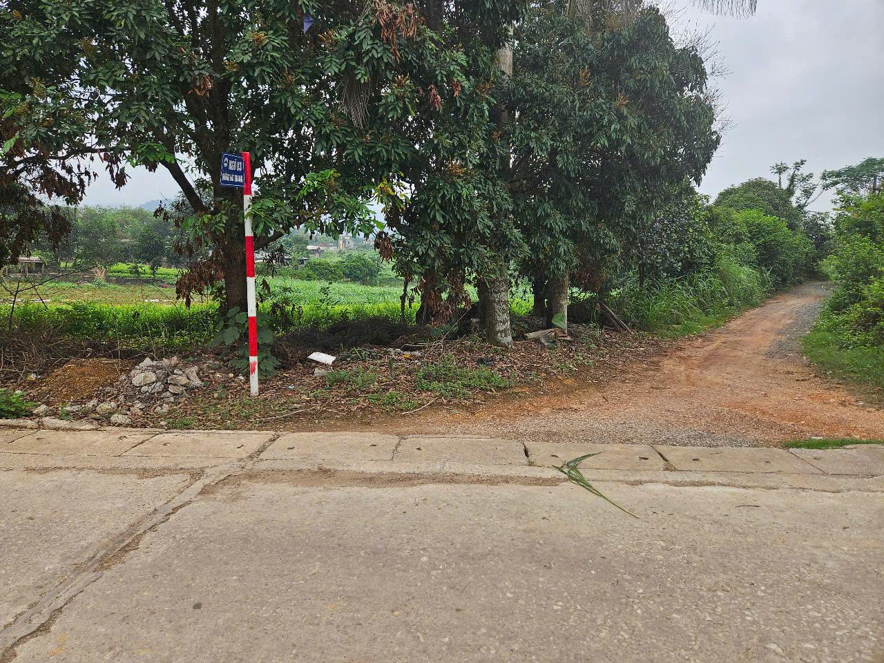 7217m2 lô góc, Cách DT87a 300m