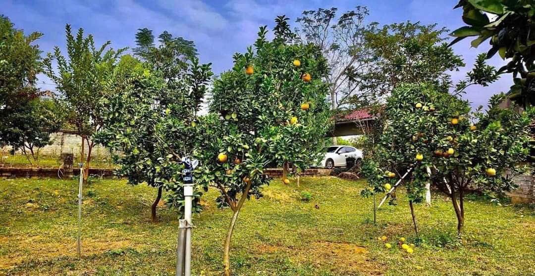 lô đất 4380m2, có 900m2 thổ cư giá 3,5 tr/m2