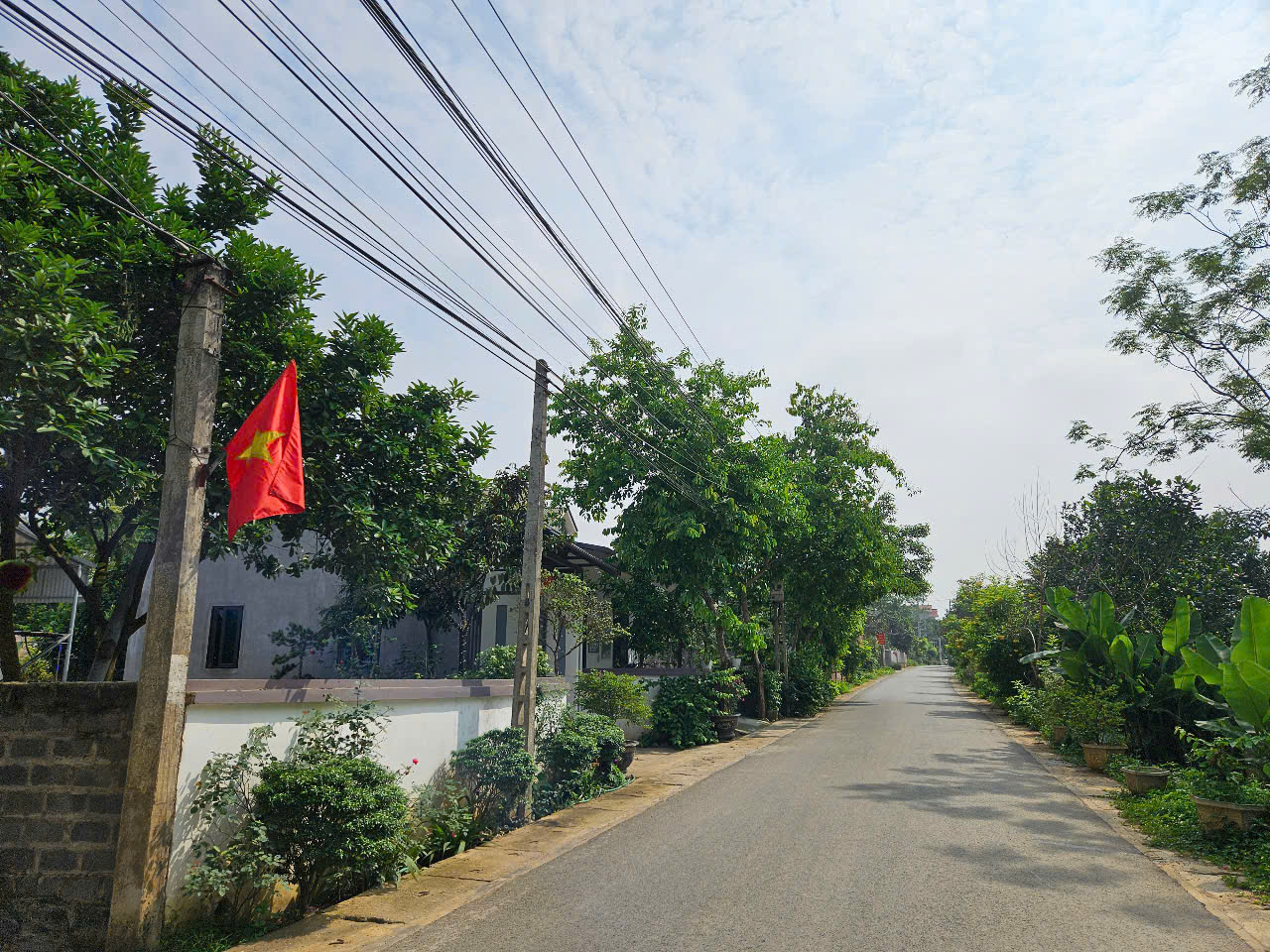 8m mặt tiền, 400m2 đất mặt đường nhựa đi Ủy ban xã Yên Bài