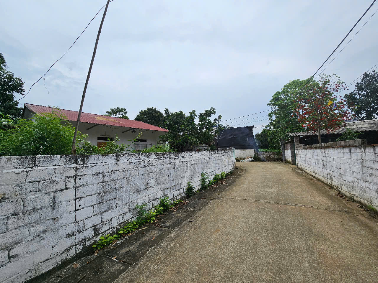 560M2 đất cây lâu năm, 3 mặt tiền, gần DT87 giá 5 tỷ