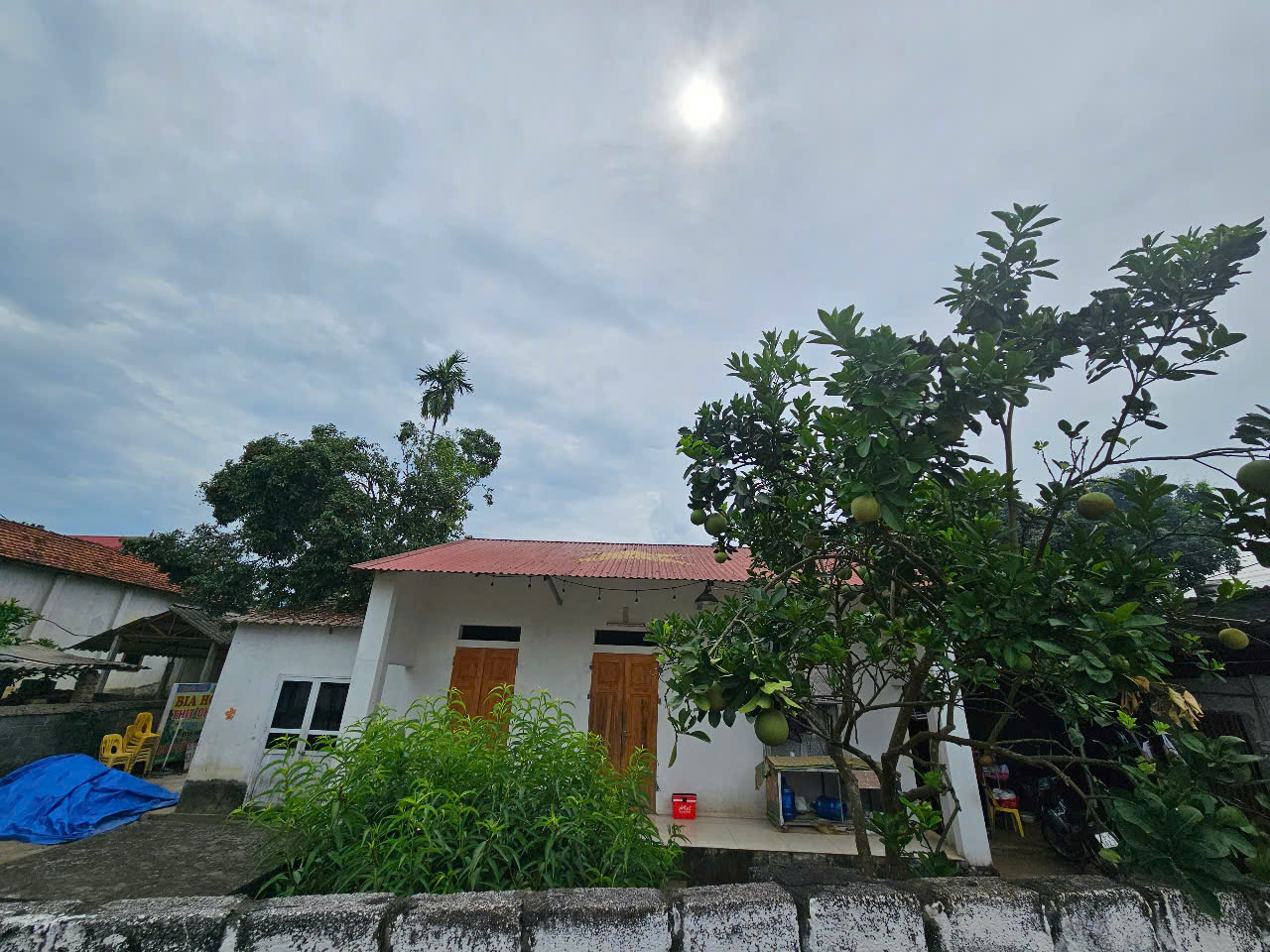 560M2 đất cây lâu năm, 3 mặt tiền, gần DT87 giá 5 tỷ