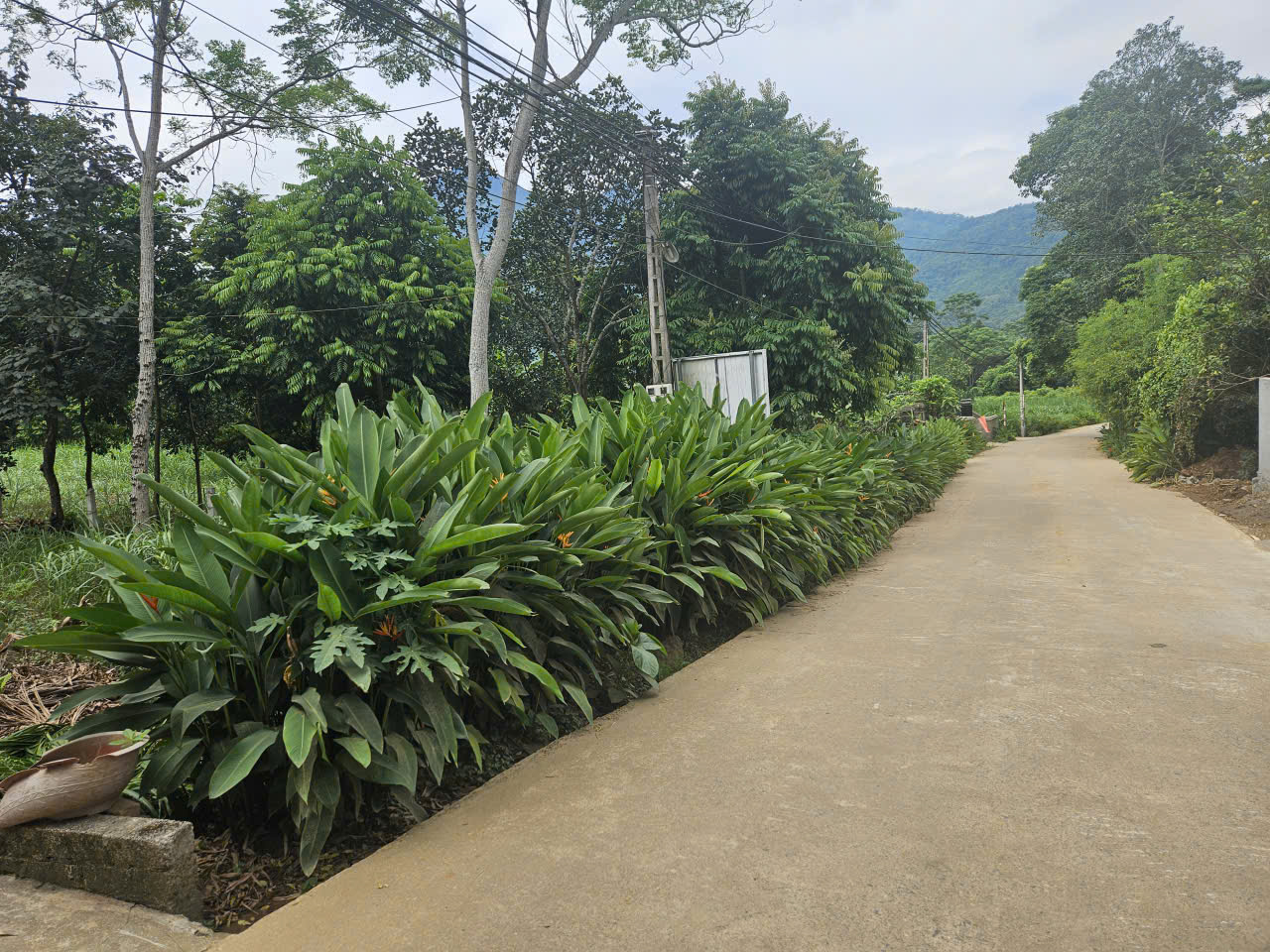 lô đất 329m2 gần du lịch Long Việt, đường rộng, vị trí đẹp