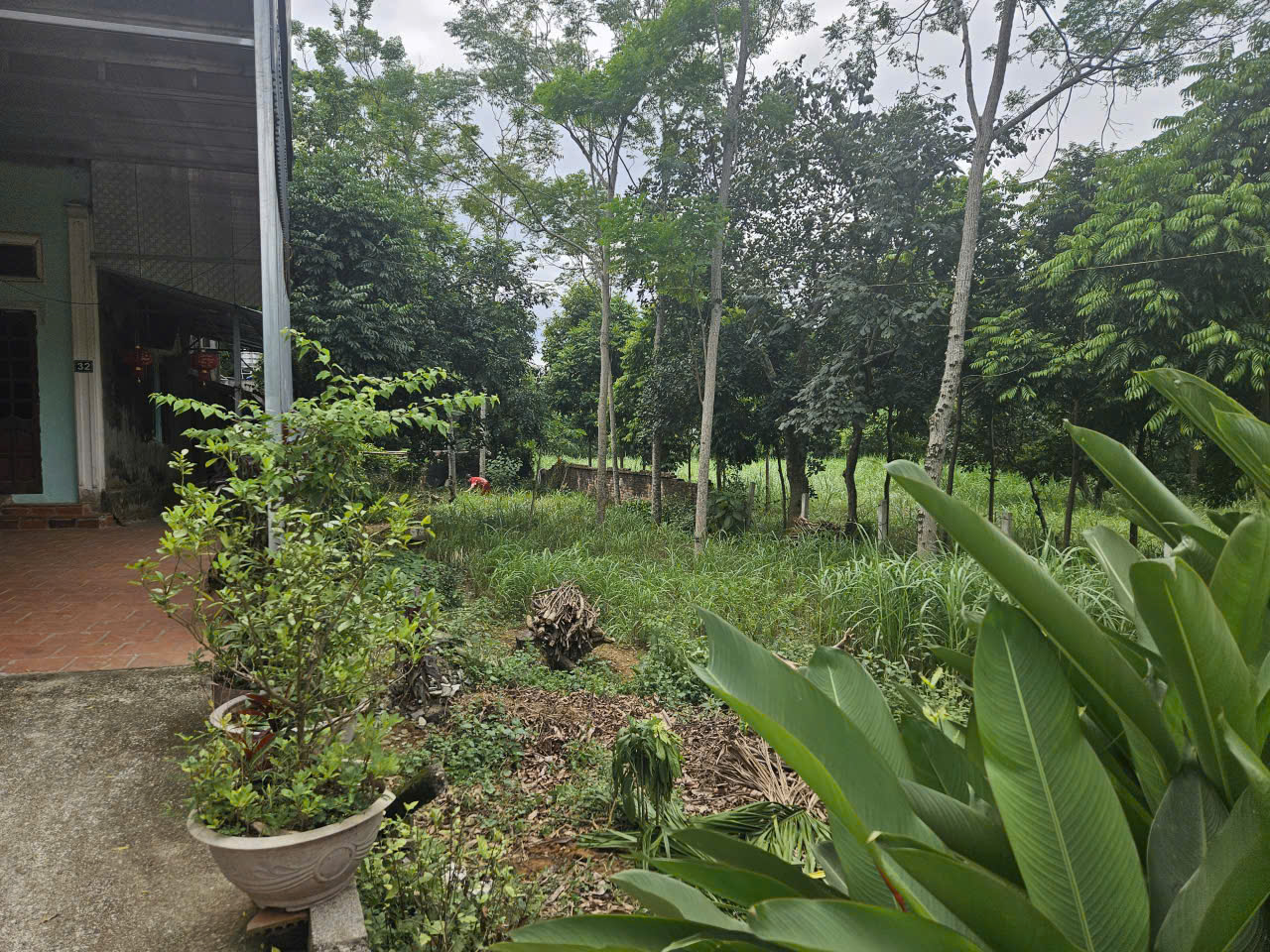 lô đất 329m2 gần du lịch Long Việt, đường rộng, vị trí đẹp