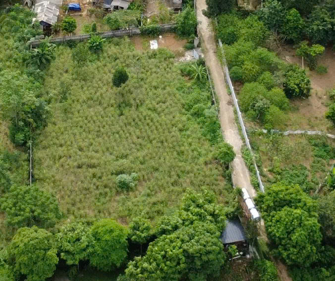 1440m2 thôn Rùa, gần đường nhựa, vuông vắn