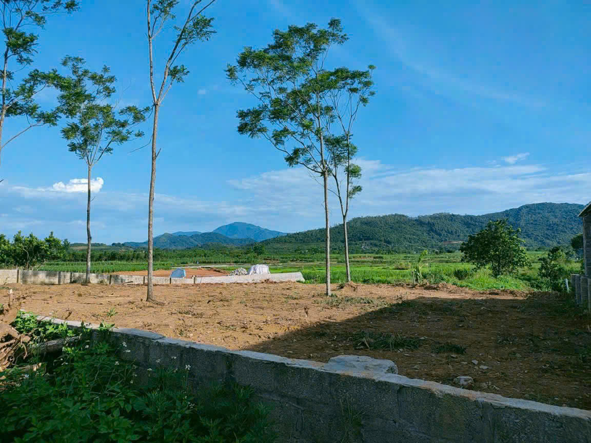 720m2 bám cánh đồng, ngõ thông đường rộng