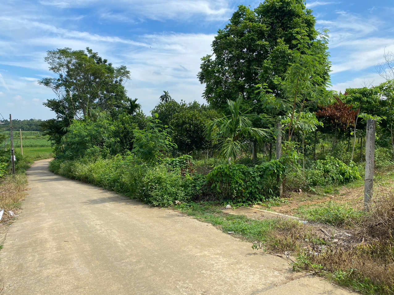 600m2 có vuông vắn view núi, cánh đồng thích hợp để ở